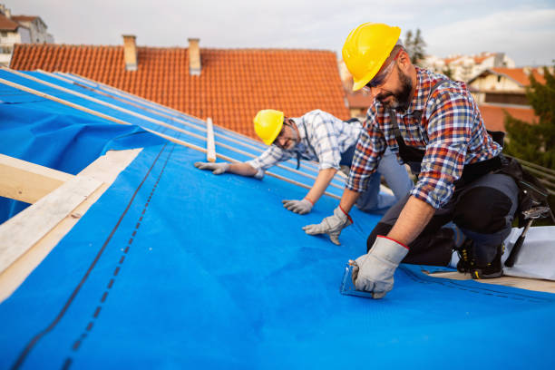 Best Roof Moss and Algae Removal  in Lebanon, OH